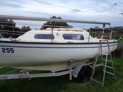 Port gunwale now attached with about 18 bolts; note that I have not yet trimmed the stern end off flush.