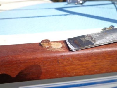 Removing the top protruding section of each plug with a sharp 1-inch chisel and mallet.