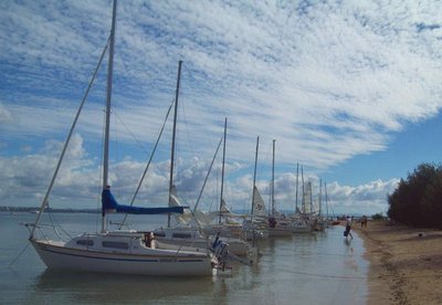 The line-up on the beach at Green Island for lunch. Margarita and Tosca in the foreground.