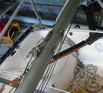 Hounds (Medium).JPG (77.19 KiB) Viewed 7006 times Original design