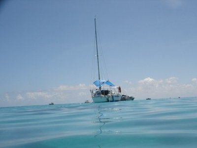 Lady Musgrave Island Dec 2009 092x5.jpg