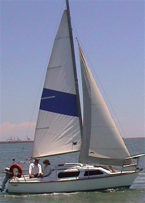 Showing furler sail independent of forestay.
