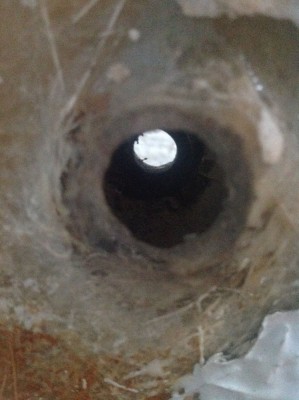 Pivot hole damage 3(1).JPG