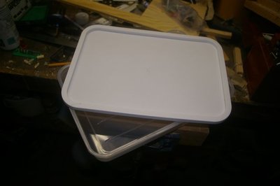 Flat plastic lunchbox from the $2 Shop, which actually cost me $2.50 (I think I was ripped off)!