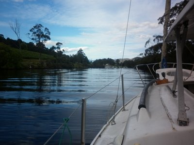 Channel cruise Huon River.jpeg