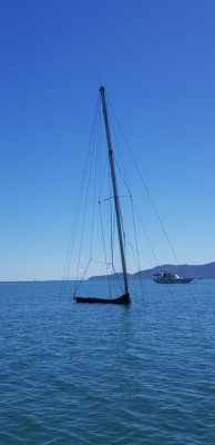 rps20240612_095414.jpg