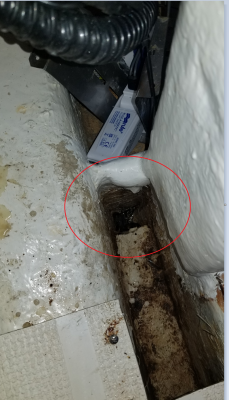 Hole in bilge.png