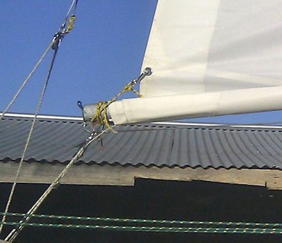 IMAG0593.jpg