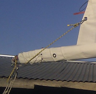 IMAG0596.jpg