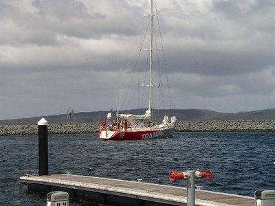 clipper 1.jpg
